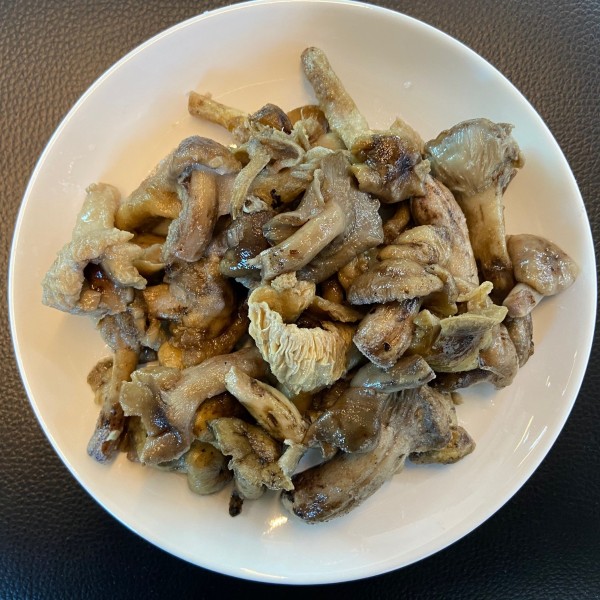자연산 염장 밤버섯 15kg